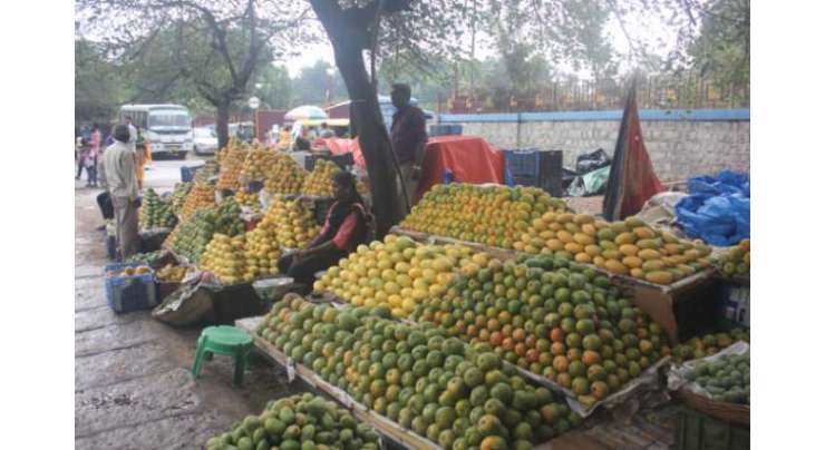 ماڈل بازاروں میں فی کلو پھلوں کے نرخ
