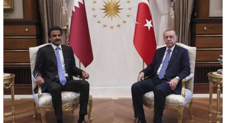 قطر کا ترکی میں 15بلین ڈالر کی سرمایہ کاری کا اعلان
