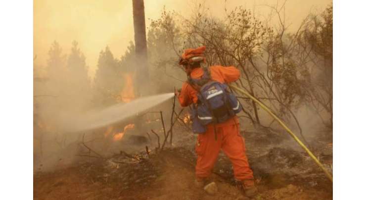 کیلیفورنیا میں قیدی 35 ڈالر کی بجائے صرف  1 ڈالر فی گھنٹہ پر جنگلات میں لگی آگ بجھا رہے ہیں