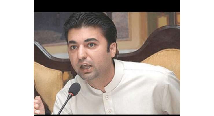 مراد سعید نے وفاقی وزیر مواصلات کی حیثیت سے حلف اٹھالیا