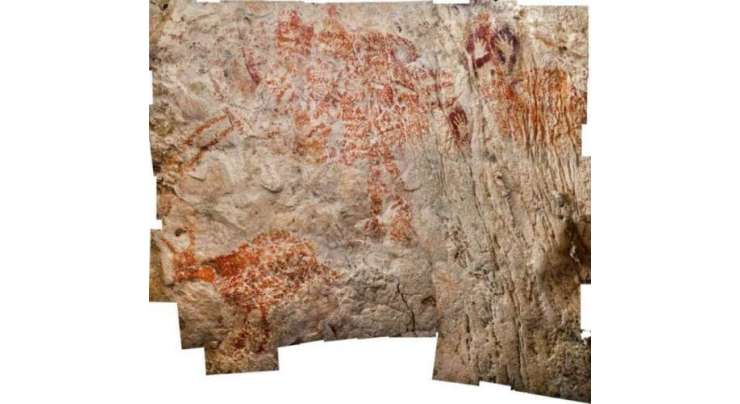 انڈونیشیا کے غار سے دنیا کی قدیم ترین 40 ہزار سال  پہلے بنائی گئی گائے کی پینٹنگ دریافت