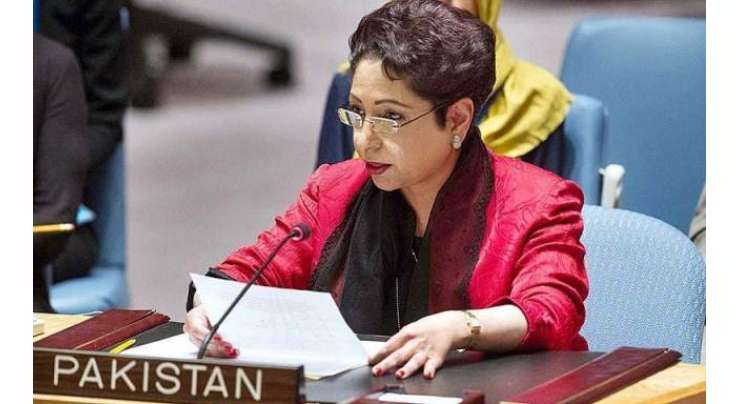 پاکستانی مندوب ملیحہ لودھی ہنگامی دورے پر پاکستان پہنچ رہی ہیں