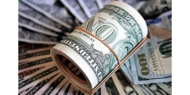 پاکستان میں غیر ملکی سرمایہ کاری 50.7 فیصد 20کروڑ ڈالر سے زیادہ کمی