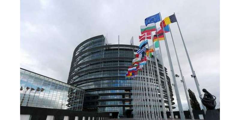 یورپین پارلیمنٹ نے براہ راست غیر ملکی سرمایہ کاری کی جانچ پڑتال کے ..