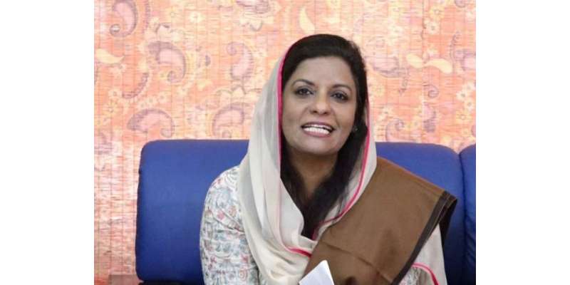 نفیسہ شاہ کی قمرالزمان کائرہ کے کورونا ٹیسٹ مثبت آنے پر ان کی جلد صحتیابی ..