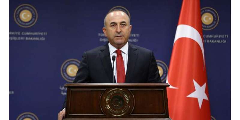 امریکا کے ساتھ اختلافات بہت آسانی سے حل کر سکتے ہیں ، ترکی