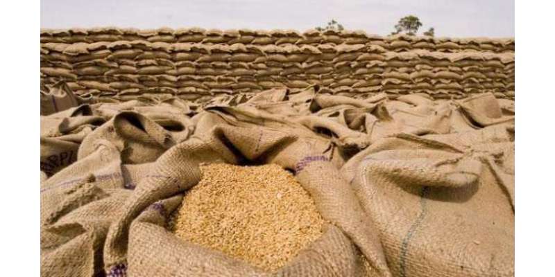 5 سال بعد گندم کی امدادی قیمت میں اضافہ کیے جانے کا امکان