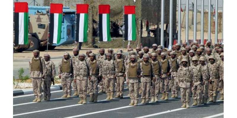 یمنی جزیرے پر متحدہ عرب امارات کی فوج تعینات، ترکی کا اظہار تشویش