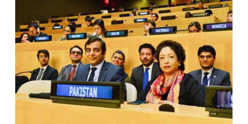 پاکستان اقوام متحدہ کی غیر سرکاری تنظیموں کی کمیٹی کے ایگزیکٹوبورڈ ..