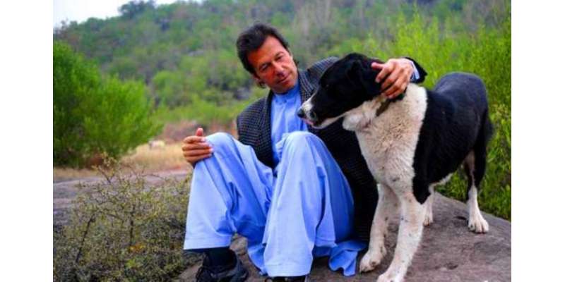 عمران خان کے پالتو کتے کو بنی گالا سے نکال دیا گیا
