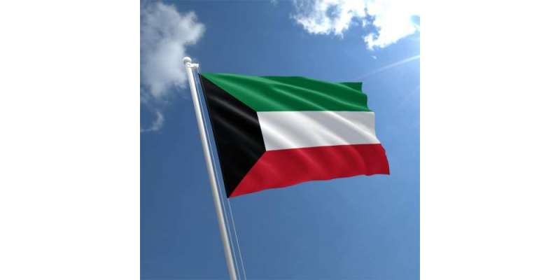 کویت کی جانب سے پاکستان میں سرمایہ کاری کی خبرجھوٹی ہے،کویت کوئی سرمایہ ..