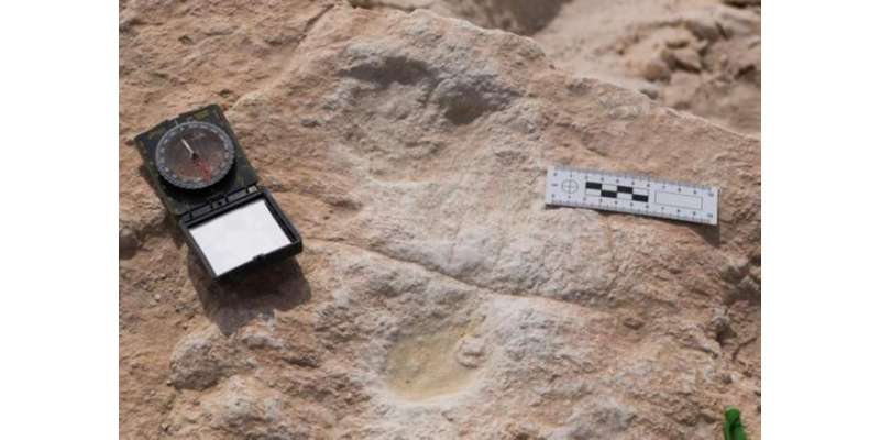 انسان کے 85 ہزارسال پرانے قدموں کے نشان دریافت