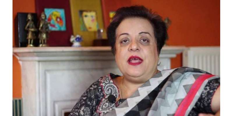 وفاقی وزیر انسانی حقوق ڈاکٹر شیریں مزاری نے مقبوضہ کشمیر میں خواتین ..