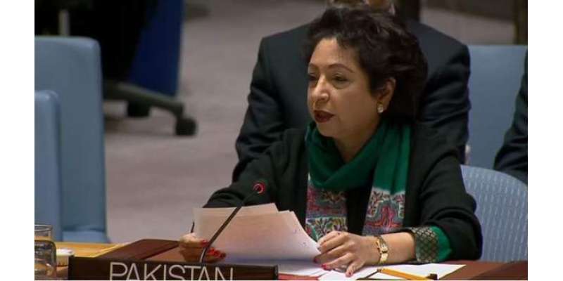 پاکستان ووٹنگ کے ذریعے اقوام متحدہ کی 2 غیر سرکاری تنظیموں کی کمیٹی ..