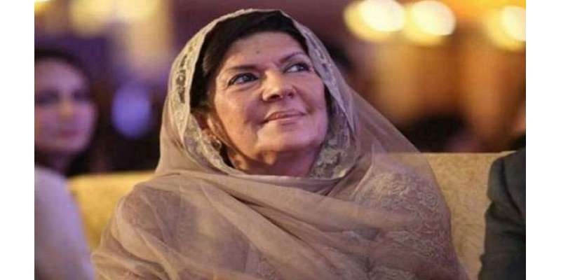 سپریم کورٹ کا علیمہ خان کو 29.4 ملین روپے جمع کروانے کا حکم
