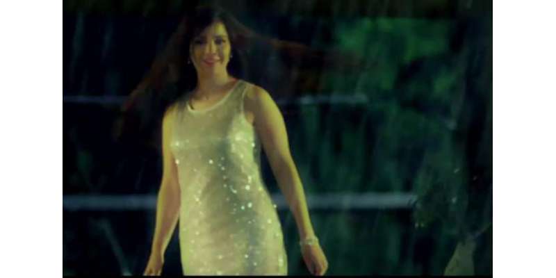 سہیل خان پروڈکشن کی فلم ’’ شور شرابا ‘‘ میں رابی پیرزادہ کے بولڈ سین ..