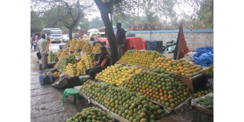 ماڈل بازاروں میں فی کلو پھلوں کے نرخ