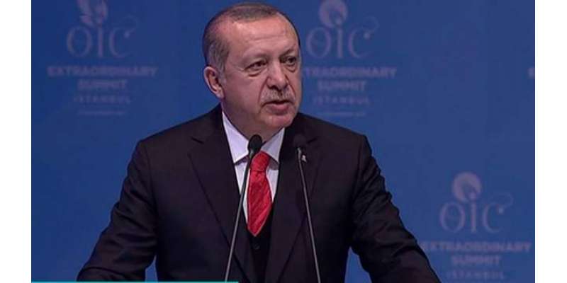 غیر فوجی علاقے سے باہر رہنے والوں کا تعین کرنا ہوگا،،ترک صدر
