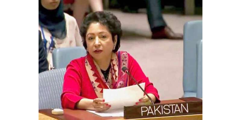 اقوام متحدہ کاچارٹرجنگی خطرات سے سلامتی کاباعث ہے‘ڈاکٹر ملیحہ لودھی