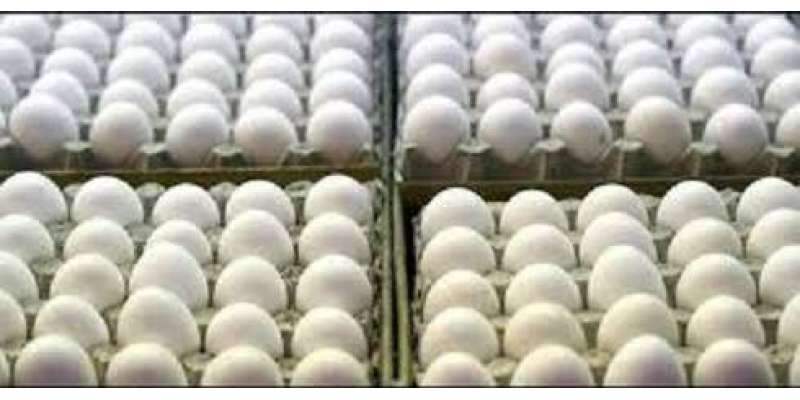 اراکین پارلیمنٹ کی گاڑیوں سے انڈے برآمد
