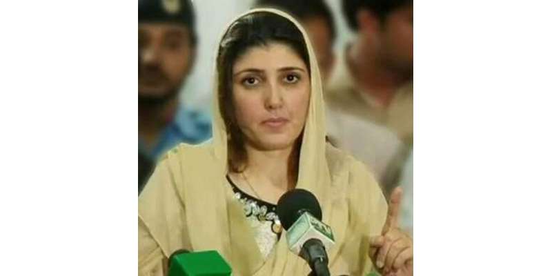 تحریک انصاف کی باغی رہنما عائشہ گلا لئی نے بھی انتخابات کی تیاریاں ..