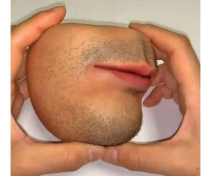 جاپانی فنکار نے حیرت انگیز انسانی چہرہ نما پرس  بنا لیا