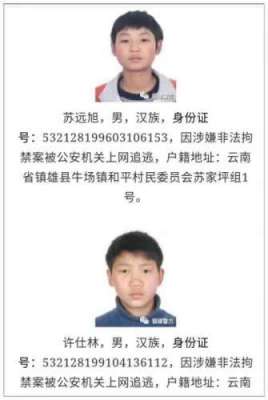 چینی پولیس مفرور  مجرموں کے اشتہارات پر اُن کی بچپن کی تصاویر لگانے ..