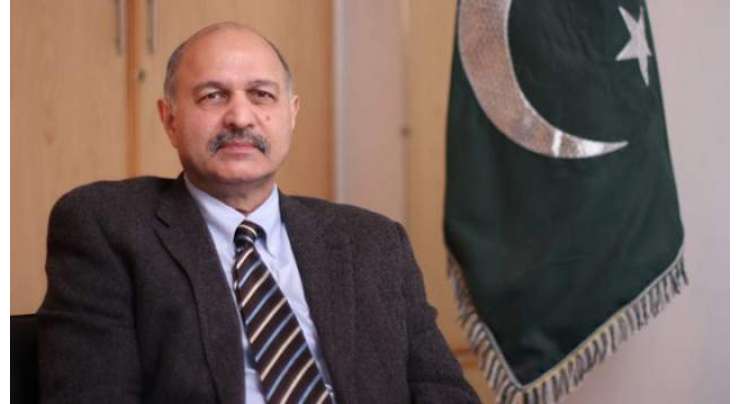 پاکستان کے تمام لوگ اور سیاسی جماعتیں فلسطین کے منصفانہ کاز کی حمایت کرتی ہیں، سینیٹر مشاہد حسین  سید