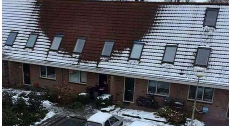گھر کی چھت پر برف نہ ہونے کی وجہ سے پولیس کےچھاپے۔ منشیات کے  کاشت کار گرفتار
