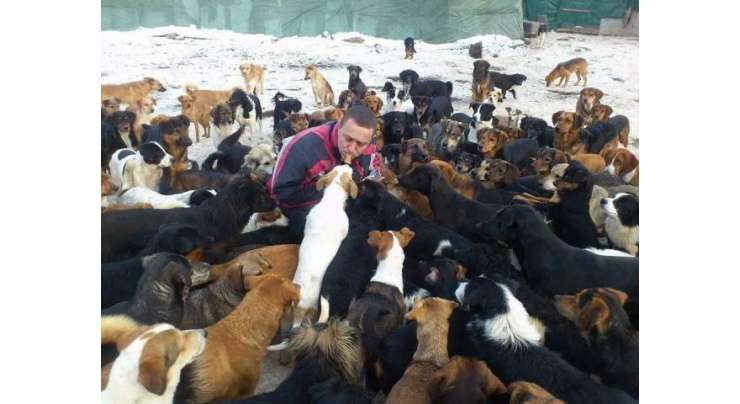 یہ رحم دل شخص  750 سے زیادہ کتوں کی دیکھ بھال کرتا ہے