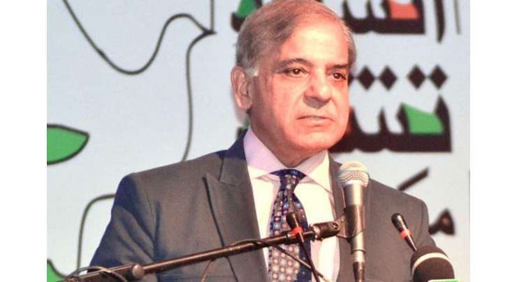 اپوزیشن لیڈر شہباز شریف کی وزیر اعلیٰ پنجاب پر شدید تنقید