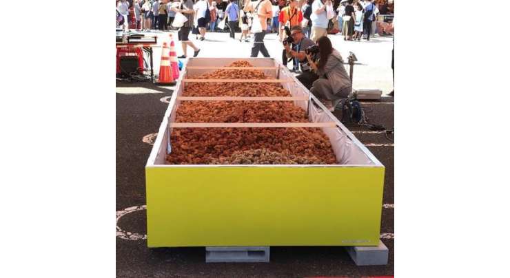 جاپانی فیسٹیول میں فرائیڈ چکن کی دنیا میں سب سے بڑی ڈش تیار ‎