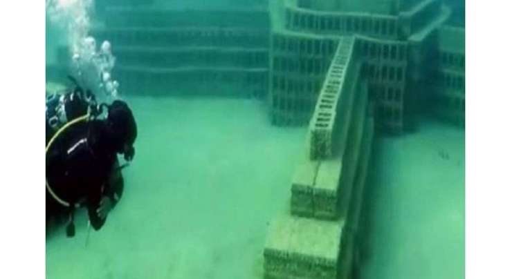 سعودی عرب میں قائم پہلا زیر آب عجائب گھر توجہ کا مرکز بن گیا