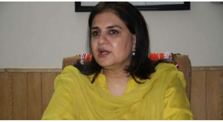 مراد سعید پاکستان پوسٹ میں 115 ارب کے سکینڈل کا جواب دیں،سینیٹر روبینہ خالد