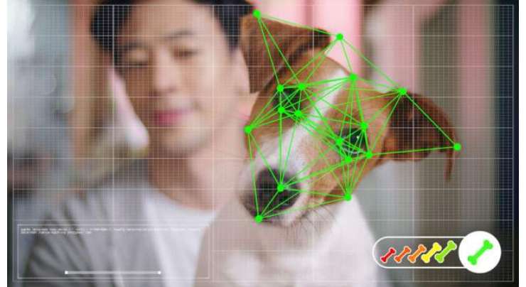 مصنوعی ذہانت اور چہرہ شناس ٹیکنالوجی کے استعمال سے اب کتے بھی آن لائن شاپنگ کر سکیں گے