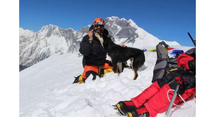 آوارہ کتا کوہ پیماؤں کے ساتھ مل کرہمالیہ کی  خطرناک چوٹی  تک پہنچنے والا دنیا کا  پہلا کتا بن گیا