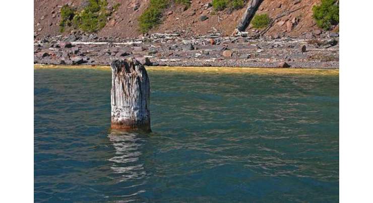 لکڑی کا یہ مشہور شہتیر 120 سالوں سے عمودی تیر  رہا ہے۔ کوئی اس کی وجہ نہیں جانتا