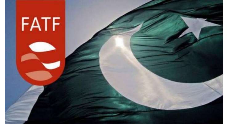 فنانشل ایکشن ٹاسک فورس کا وفد پاکستان پہنچ گیا