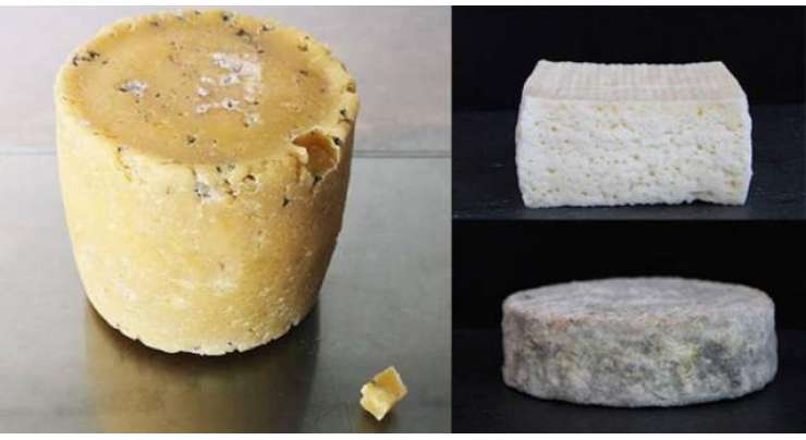 اس  ”انسانی پنیر“ کو مشہور شخصیات کی بغلوں کے بیکٹریا سے بنایا گیا ہے