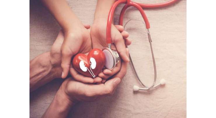 کولیسٹرول کے بر وقت علاج سے دل کے عارضہ سے محفوظ رہا جا سکتا ہے، ماہرین
