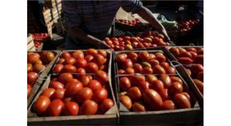 ٰکوئٹہ ،ایران سے ڈیزل اور پٹرول کی سمگلنگ پر پابندی کے بعد سمگلروں نے ٹماٹرکی سمگلنگ شروع کردی