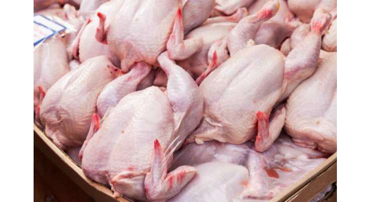 فیصل آباد،شہر میں برائلر مرغی کے گوشت کی قیمت 16روپے کلوکم ہوگئی