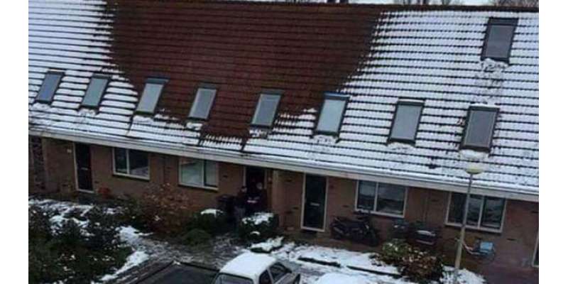 گھر کی چھت پر برف نہ ہونے کی وجہ سے پولیس کےچھاپے۔ منشیات کے  کاشت کار ..