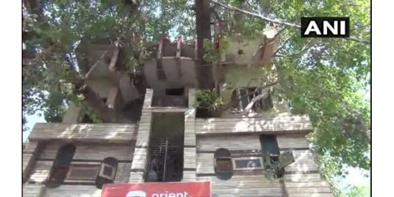 ایک خاندان نے 150 سالہ درخت کو کاٹنے کی بجائے اس کے گرد ہی گھر بنا لیا