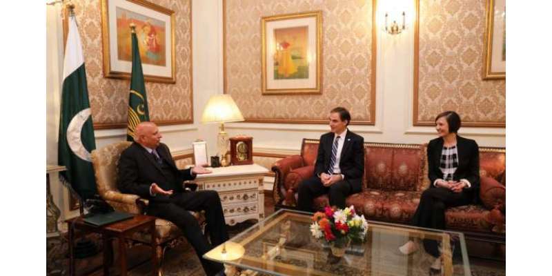 قائم مقام امریکی سفیر پال ڈبلیو جونز کی گورنر پنجاب سے ملاقات