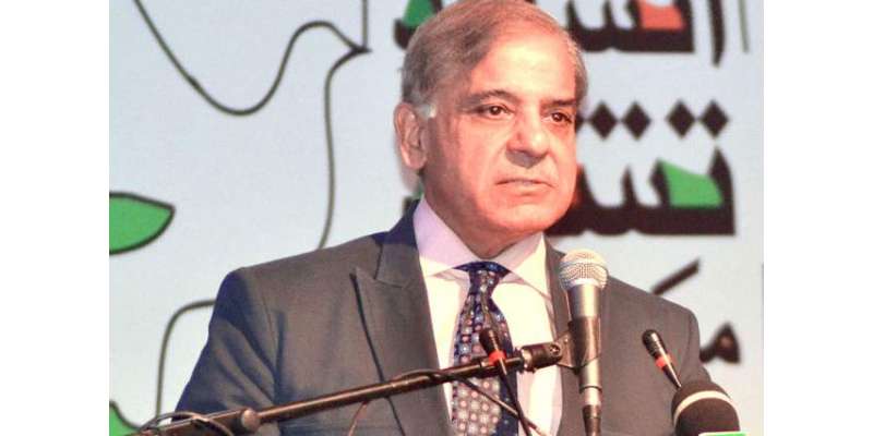 اپوزیشن لیڈر شہباز شریف کی وزیر اعلیٰ پنجاب پر شدید تنقید