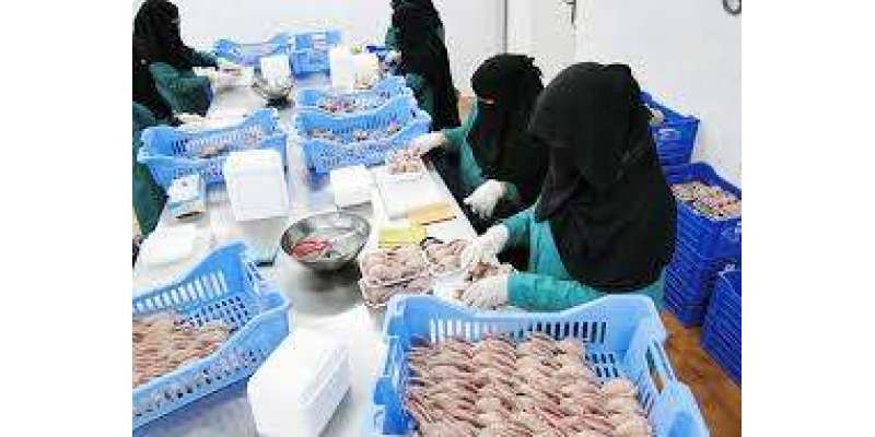 سعودی عرب کی سکول کینٹینز میں کھانے پینے کی اشیاء کے نرخ مقرر کر دیئے ..