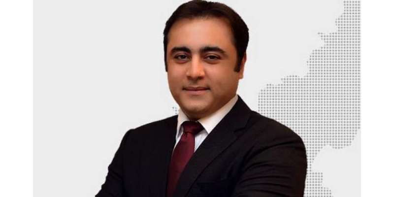 حکومت صحافیوں کے اثاثوں کی تحقیقات کرے، منصور علی خان