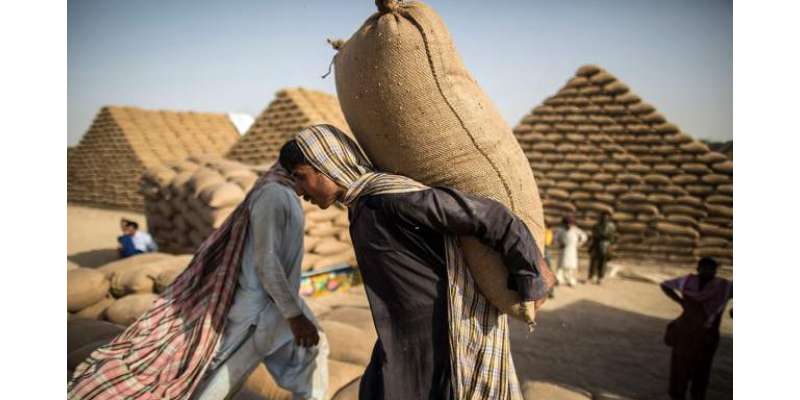 حکومت نے چینی کے بعد 20 لاکھ ٹن گندم فوری درآمد کرنے کی اجازت دے دی