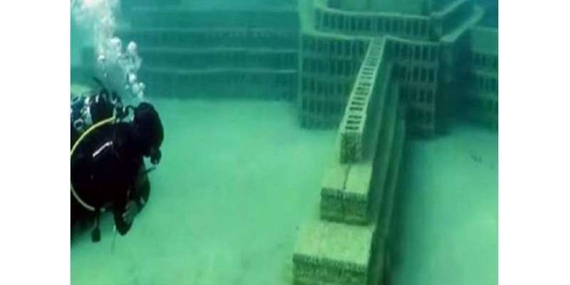 سعودی عرب میں قائم پہلا زیر آب عجائب گھر توجہ کا مرکز بن گیا
